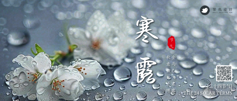 寒露公众号首图