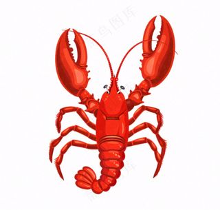 大龙虾海洋海鲜卡通插画免抠