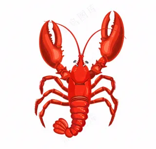 大龙虾海洋海鲜卡通插画免抠