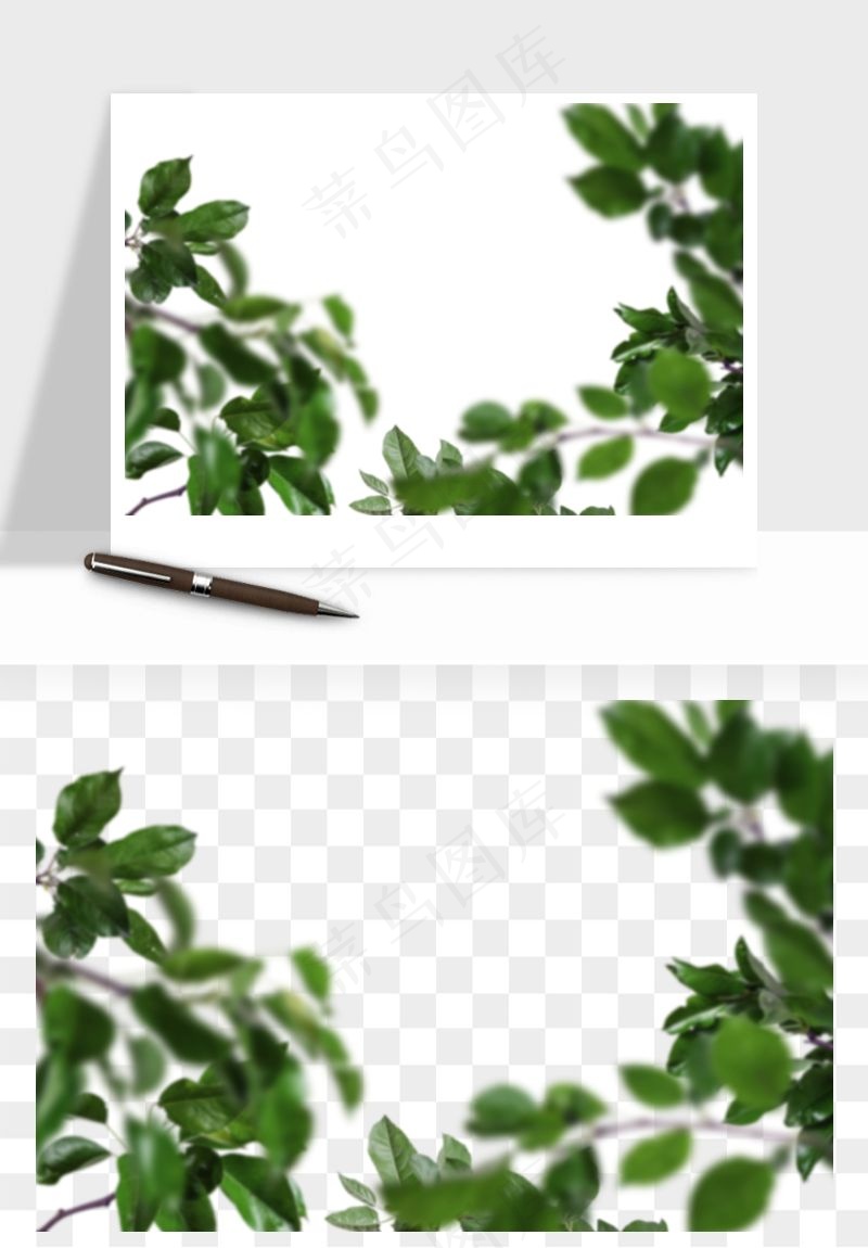 绿叶虚化前景树枝png免抠