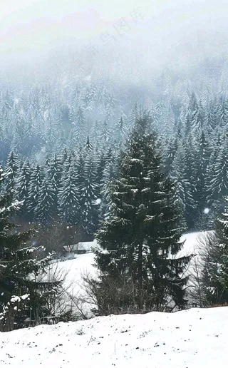 冬天寒冷白雪结冰小寒摄影图