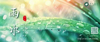 雨水公众号首图