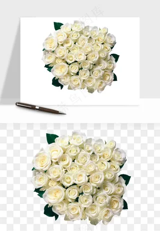 白玫瑰花枝花束png免抠