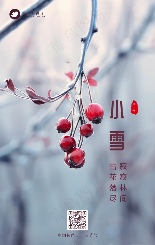 小雪手机海报
