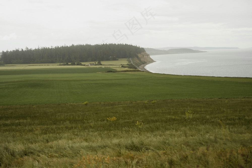 宁静的海边草地风景