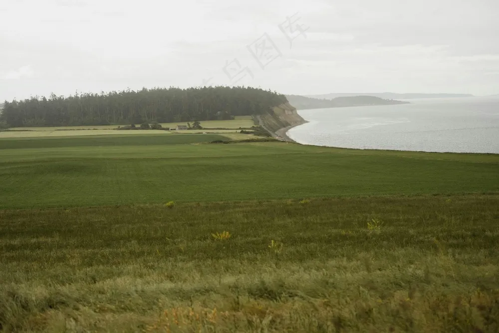 宁静的海边草地风景