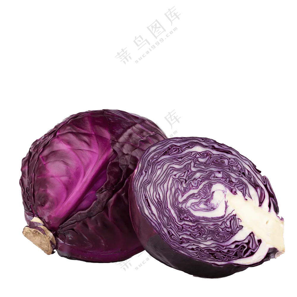 紧实手感的紫甘蓝蔬菜免抠图片素材