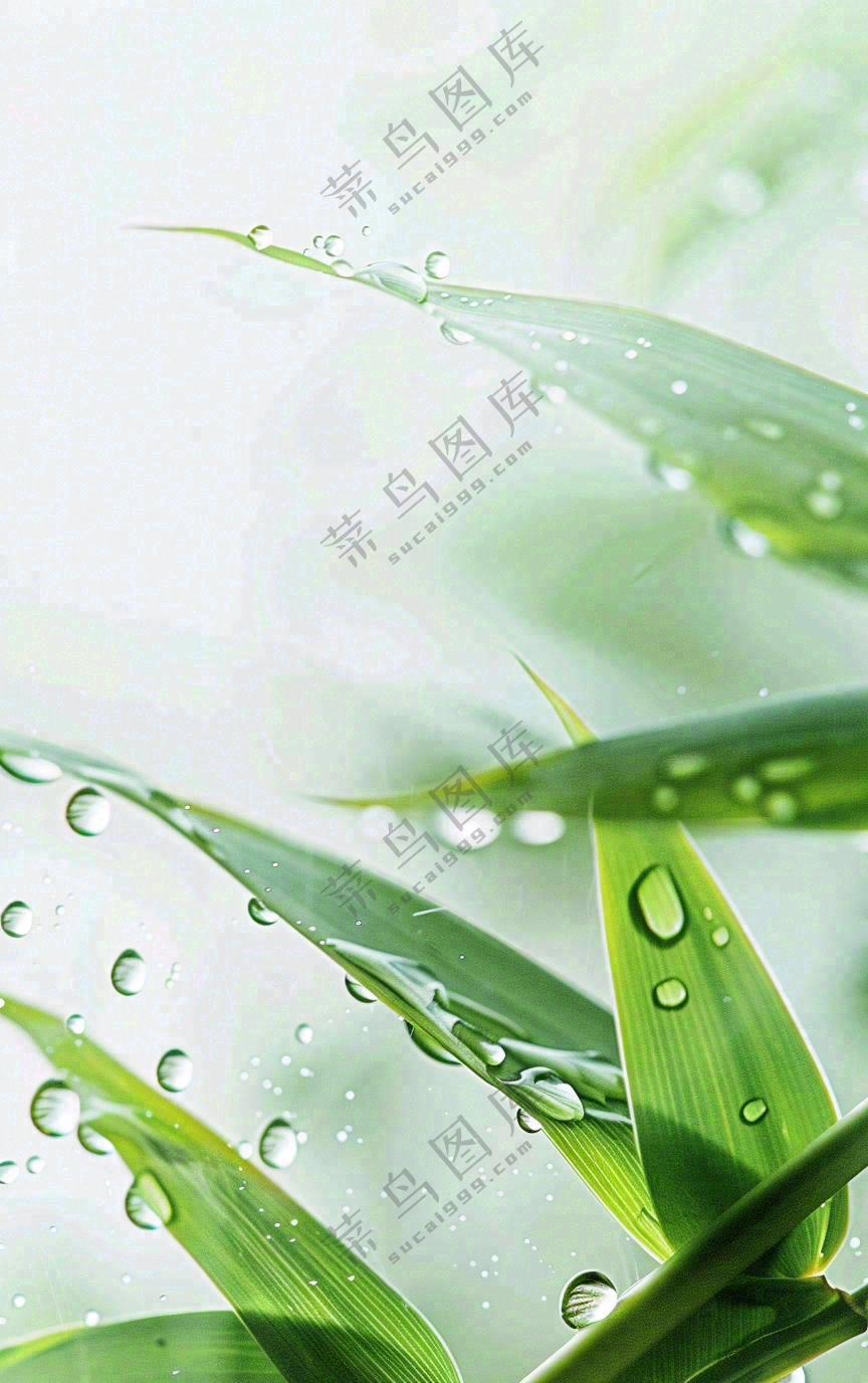 白露节气