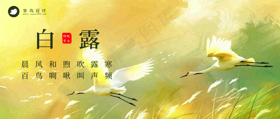 白露公众号首图