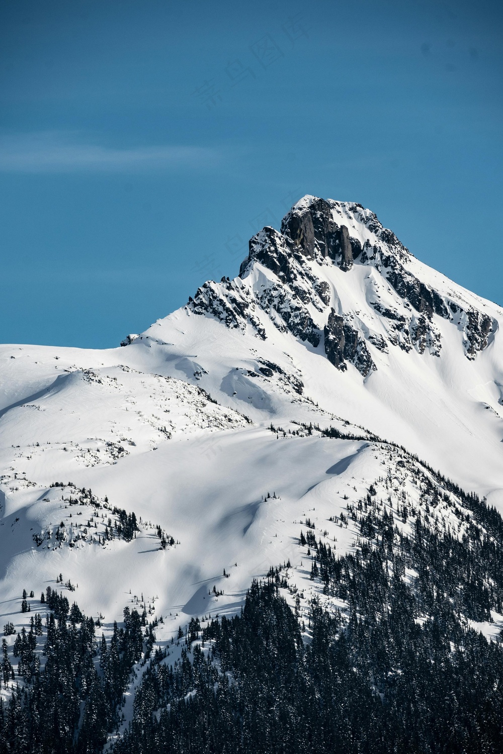 雪峰裸露森林静·自然庄严风格·蓝白灰调·赏景珍藏