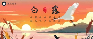 白露公众号首图