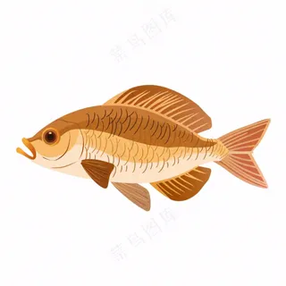 海洋鱼类海鲜卡通插画免抠