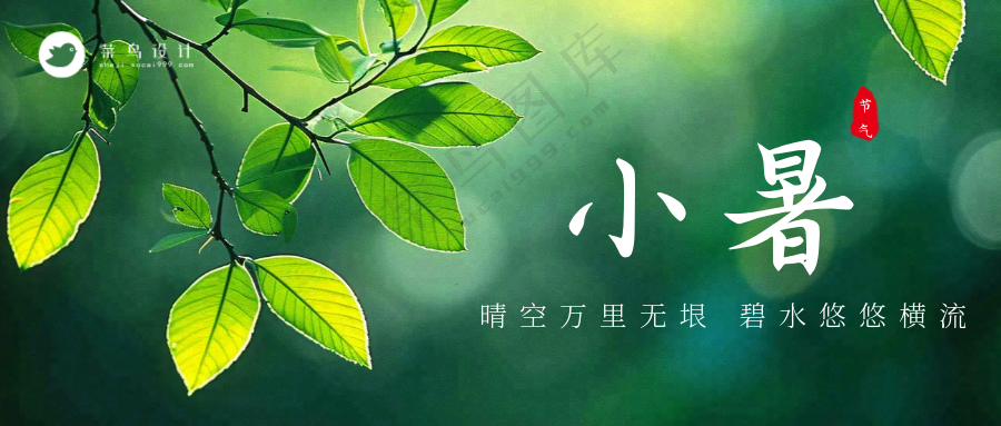 小暑公众号首图