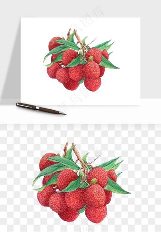 荔枝妃子笑水果png免抠