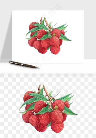 荔枝妃子笑水果png免抠