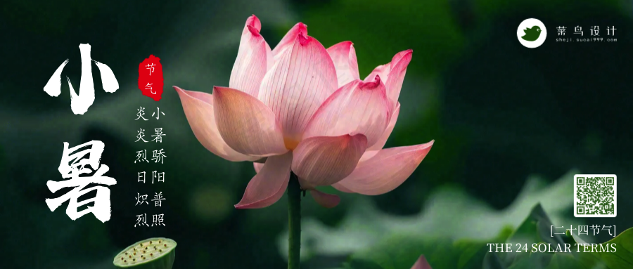 小暑公众号首图