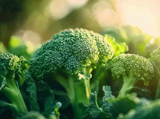 西兰花蔬菜绿色营养摄影图