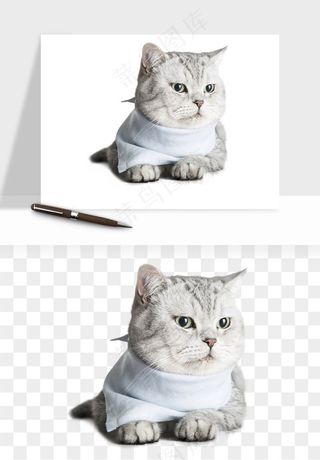 猫咪喵星人狗狗宠物元素png免抠