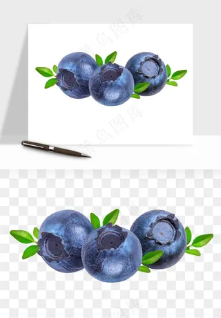 蓝莓水果png免抠