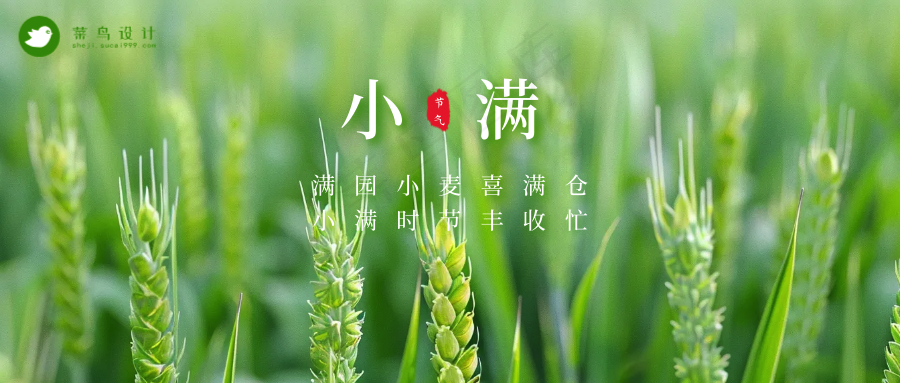 小满公众号首图