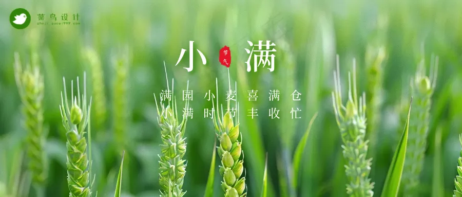 小满公众号首图