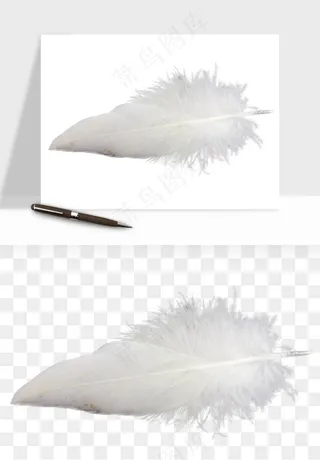 白羽毛漂浮彩色羽毛png免抠