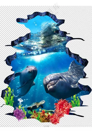 海底世界海底摄影海底珊瑚