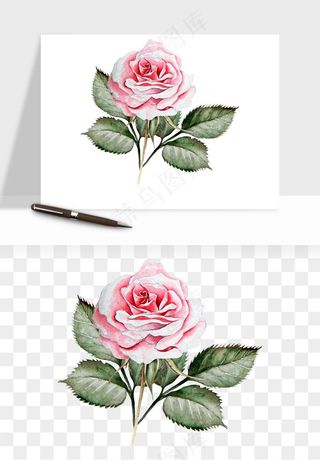 水彩复古花卉png免抠