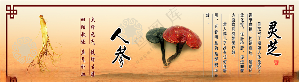 参茸店中医文化鹿海报