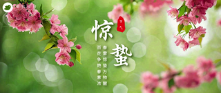 惊蛰公众号首图