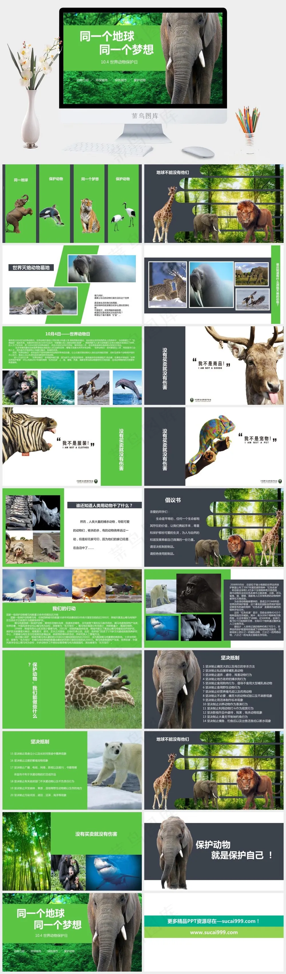 保护野生动物生态环境保护PPT 