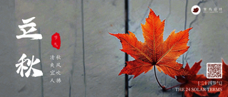 立秋公众号首图