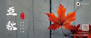 立秋公众号首图