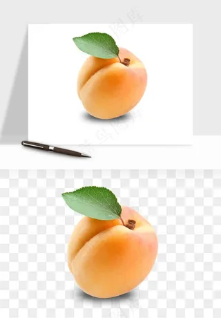 桃子油桃黄桃水果png免抠