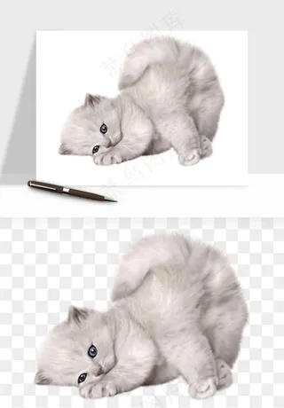 猫咪喵星人狗狗宠物元素png免抠