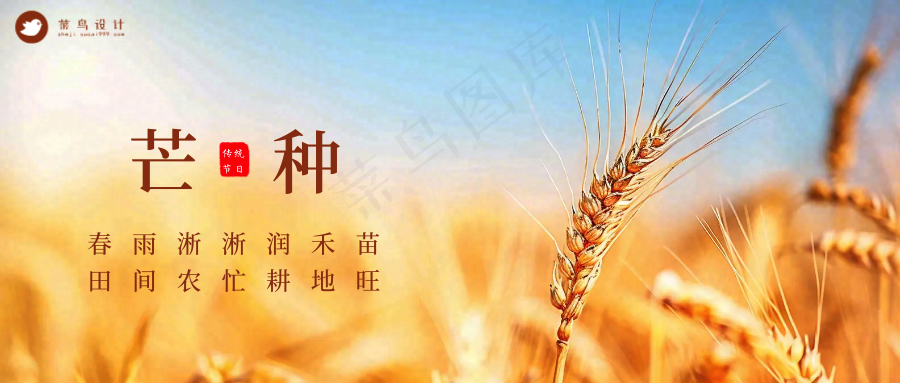 芒种公众号首图