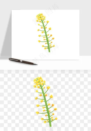 油菜花田png免抠