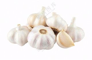 大蒜免抠