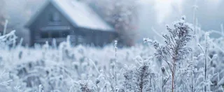 冬天植物森林里的木屋白雪覆盖小寒小雪摄影图