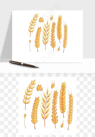 手绘麦穗稻穗麦秆矢量png免抠