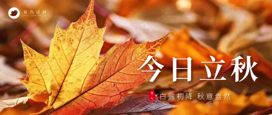 立秋公众号首图