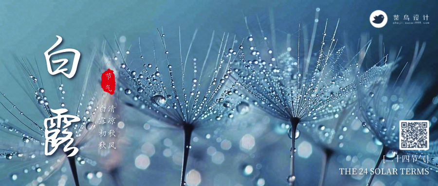 白露公众号首图