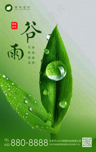 谷雨手机海报