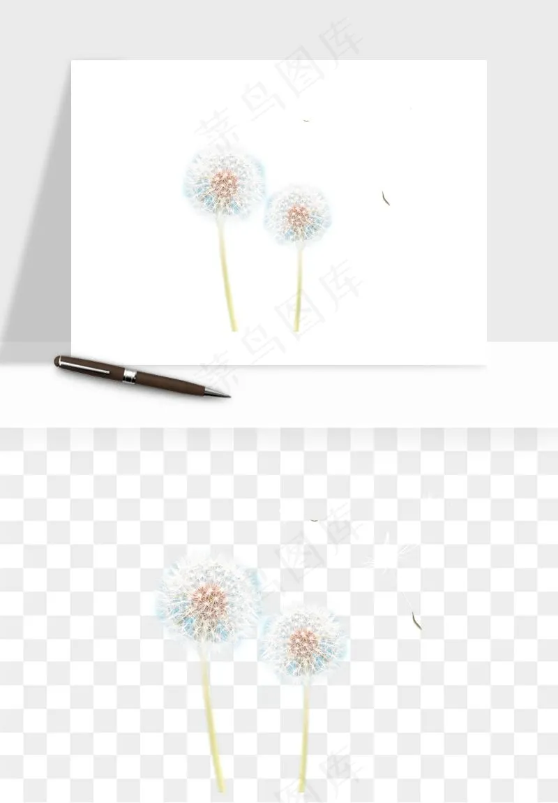 唯美蒲公英种子png免抠