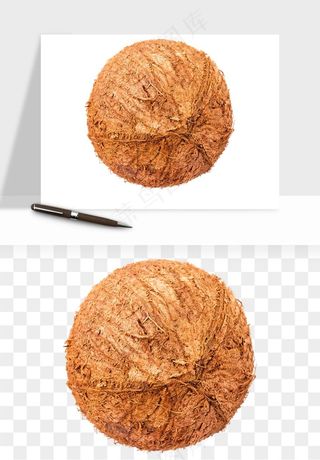 椰子椰果水果png免抠