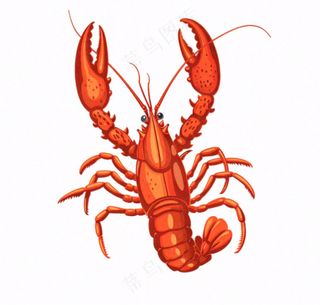 大龙虾海洋海鲜卡通插画免抠