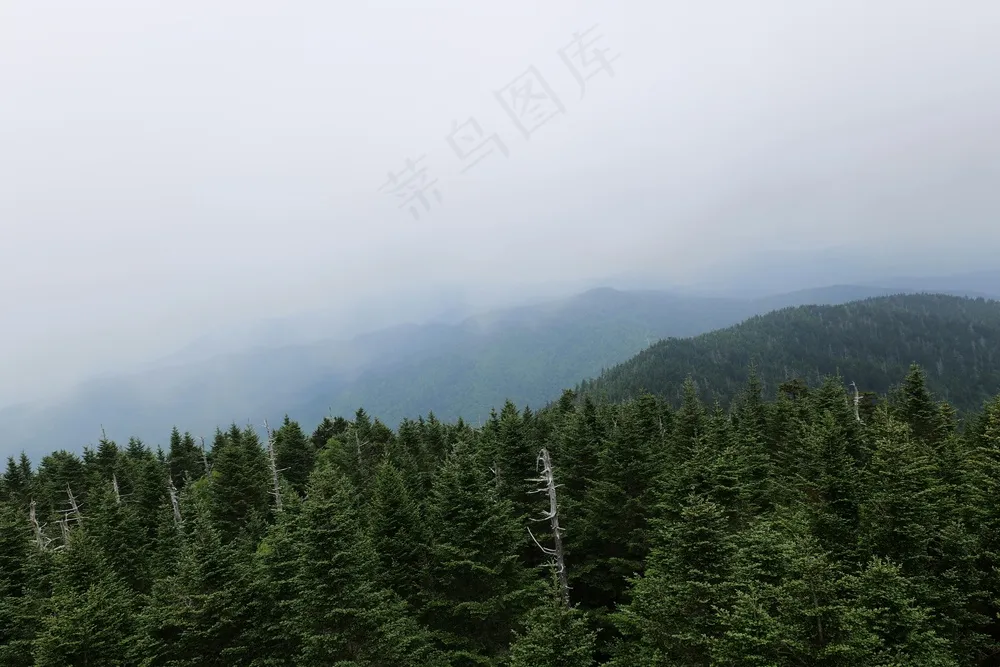 远山的宁静与翠绿