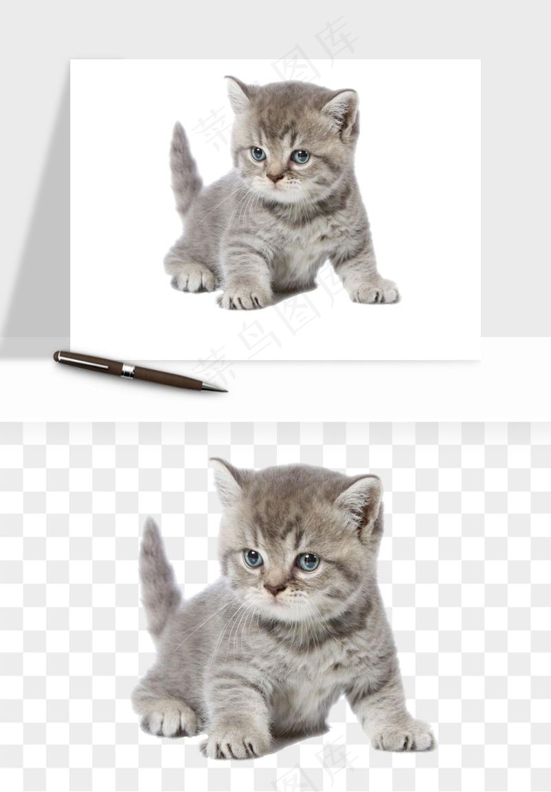猫咪喵星人狗狗宠物元素png免抠