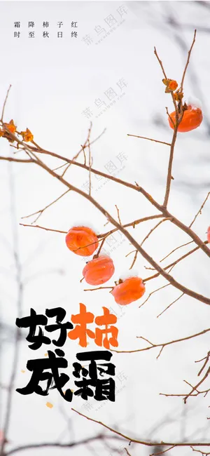 插画复古霜降节气传统海报