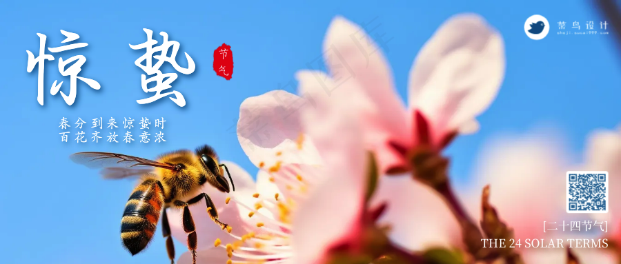 惊蛰公众号首图
